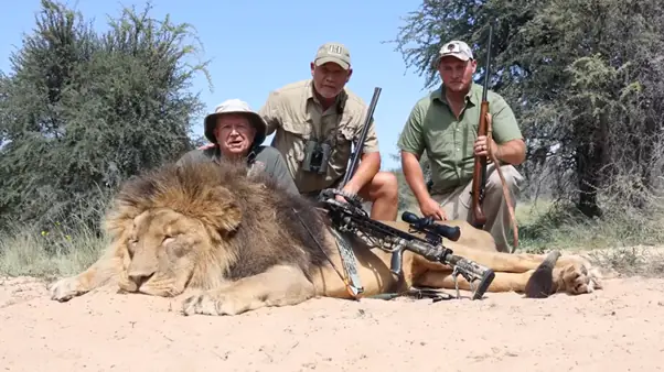 Trophy hunters posing with a lion they shot